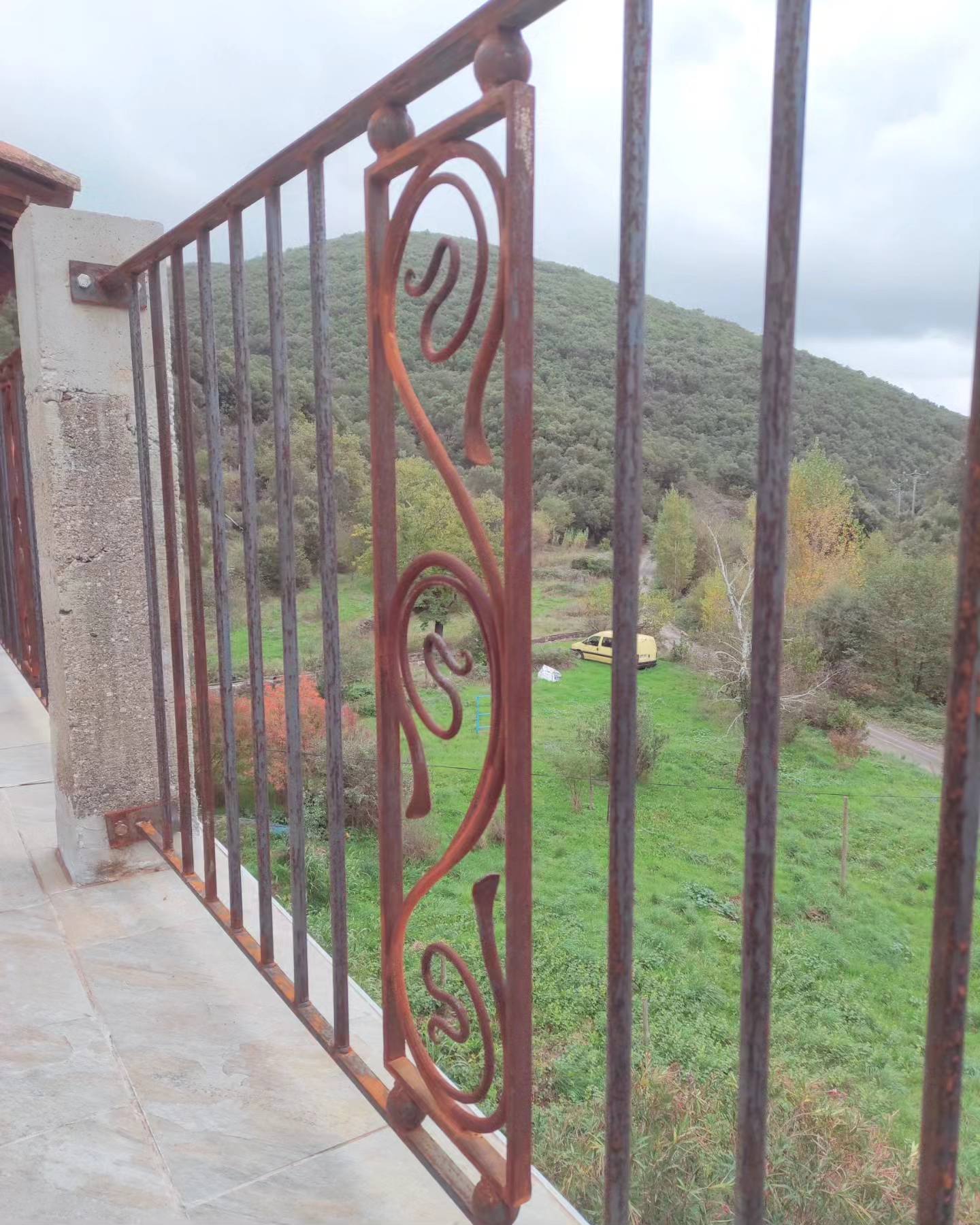 garde-corps art nouveau — 3