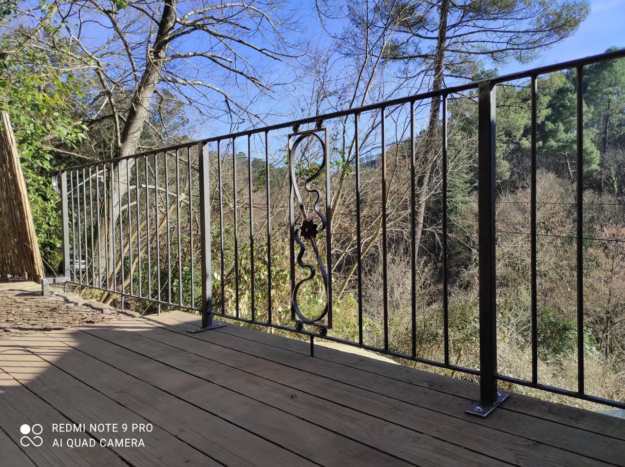 art Nouveau guardrail