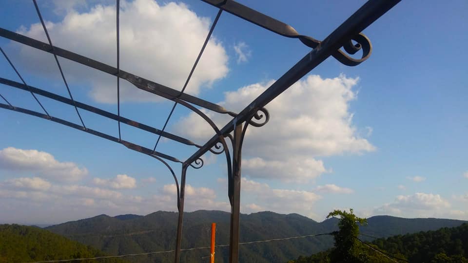 Pergola en fer forgé