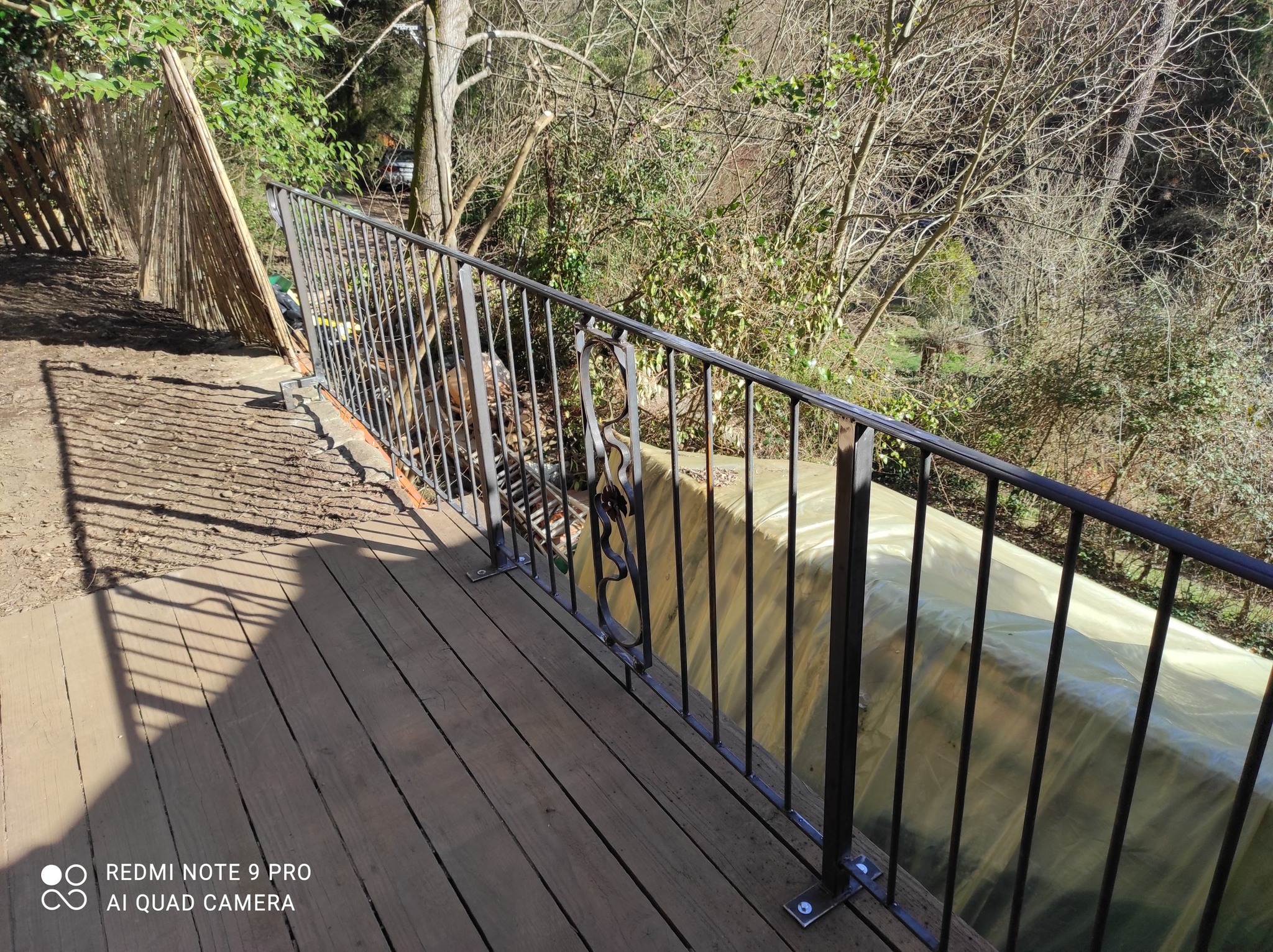 garde-corps art nouveau — 3