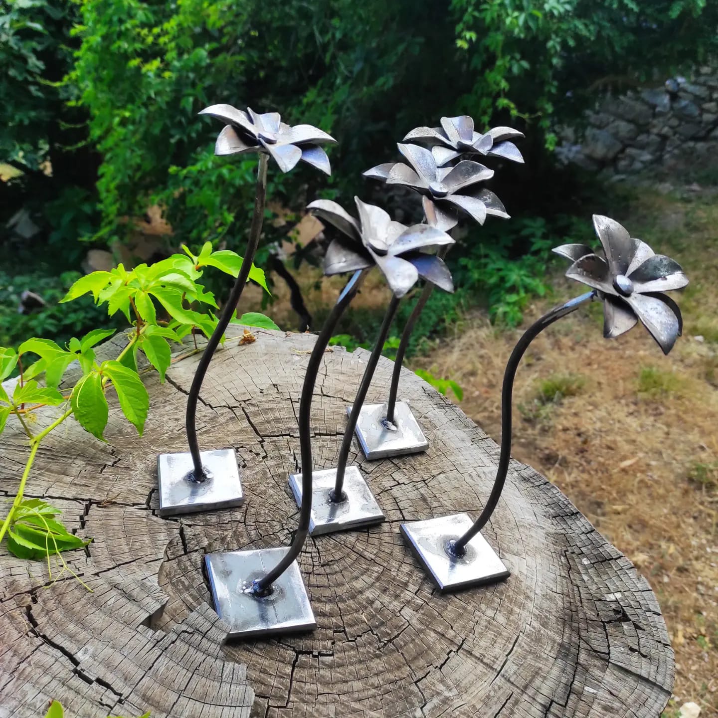 Fleurs d'acier — 2